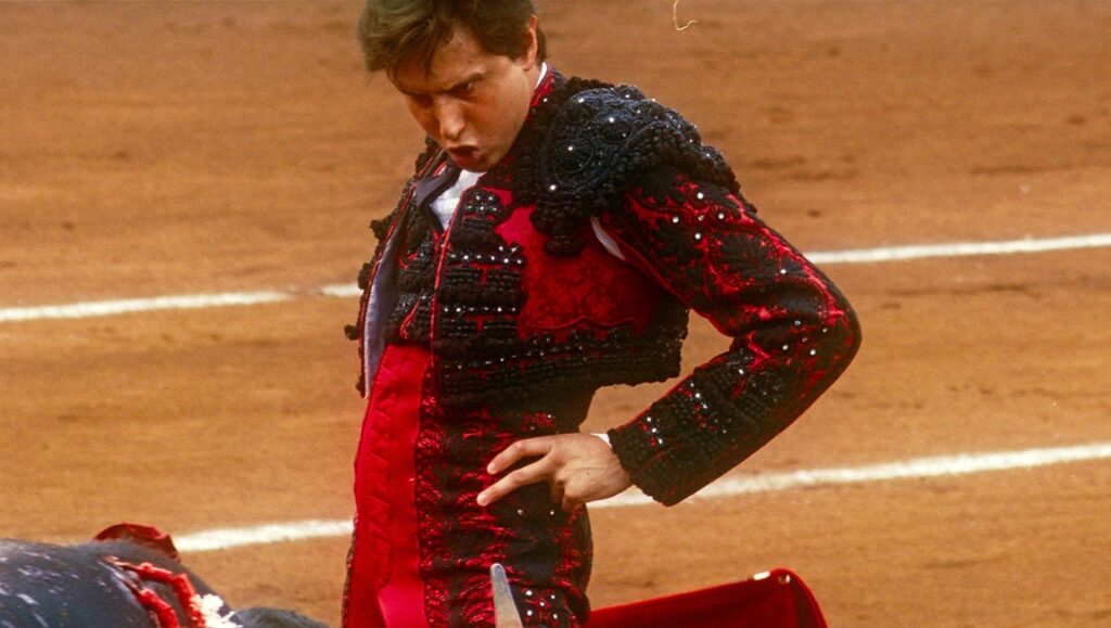 Matador in ornate red and black suit in bullring. Bullfighting scene.