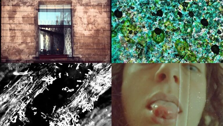 Light Matter 2024 Film Program: Abstract collage featuring window, green pattern, black & white, and portrait imagery.