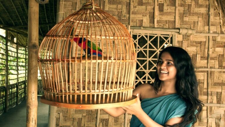 Smiling woman holding birdcage with colorful parrot. Wicker cage, traditional setting.