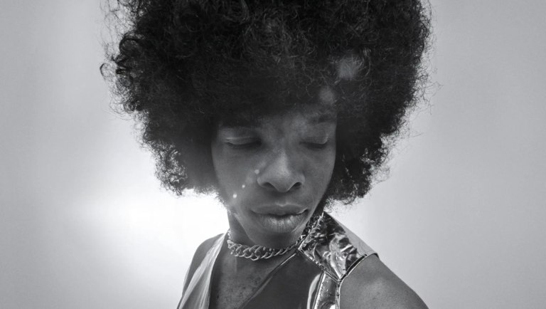 Black and white portrait of Sly Stone. Musician with afro, chain necklace, and silver vest. Musical icon.
