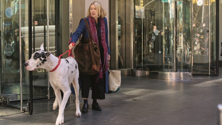 Naomi Watts walks a Great Dane dog on Bleecker Street, NYC. Celebrity dog walking.