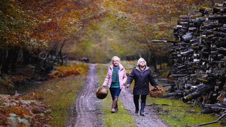 Two women walk on a fall forest path with baskets. Autumn foliage and stacked firewood.