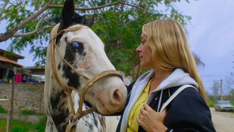 Woman with horse. Blonde woman with a white and black horse with blue eyes. Farm life.