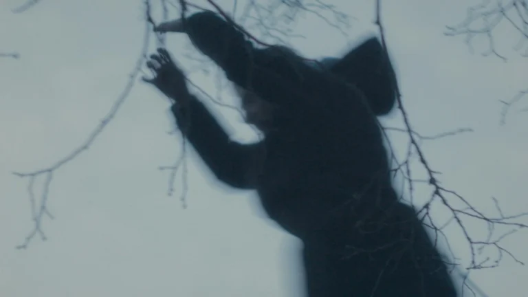 Still from Knife in the Heart of Europe at FIDMarseille 2025. Silhouette of person reaching through branches.