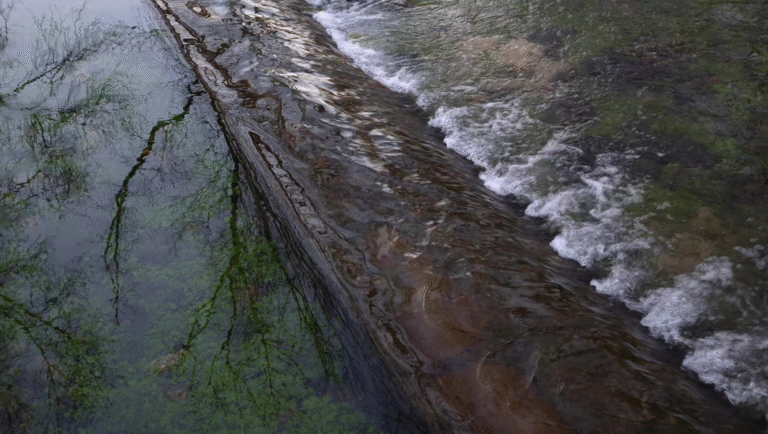 Film still: Water flowing over a weir. Tree reflections in the water. FIDMarseille 2025.