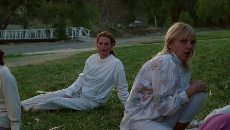 Still from Todd Haynes' Safe featuring Julianne Moore. Women sit on the grass in white clothing.