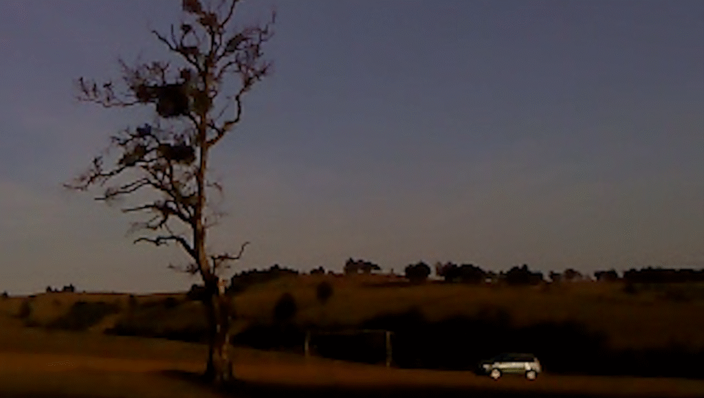Rural landscape with a bare tree, rolling hills, and a car on a dirt road at dusk.