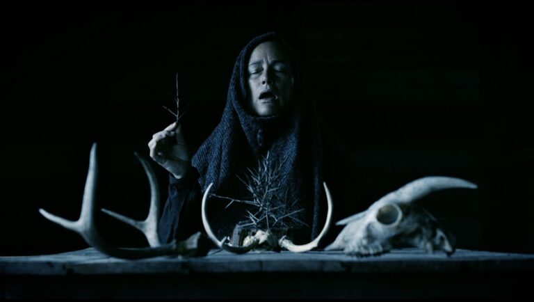 Dark ritual scene: hooded woman, animal skulls, and antlers on a table. Occult, witchcraft, pagan themes.