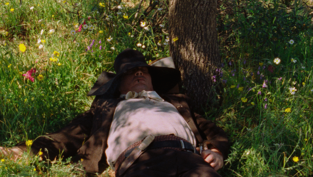 Man in hat rests by tree in field. Cowboy sleeping amongst wildflowers. Western scene.